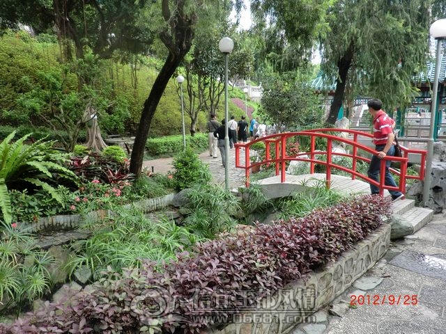 nEO_IMG_CIMG8372.jpg