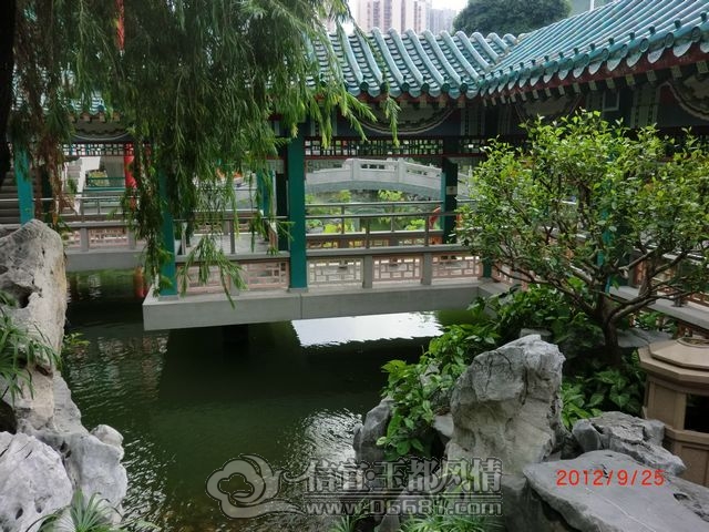 nEO_IMG_CIMG8378.jpg