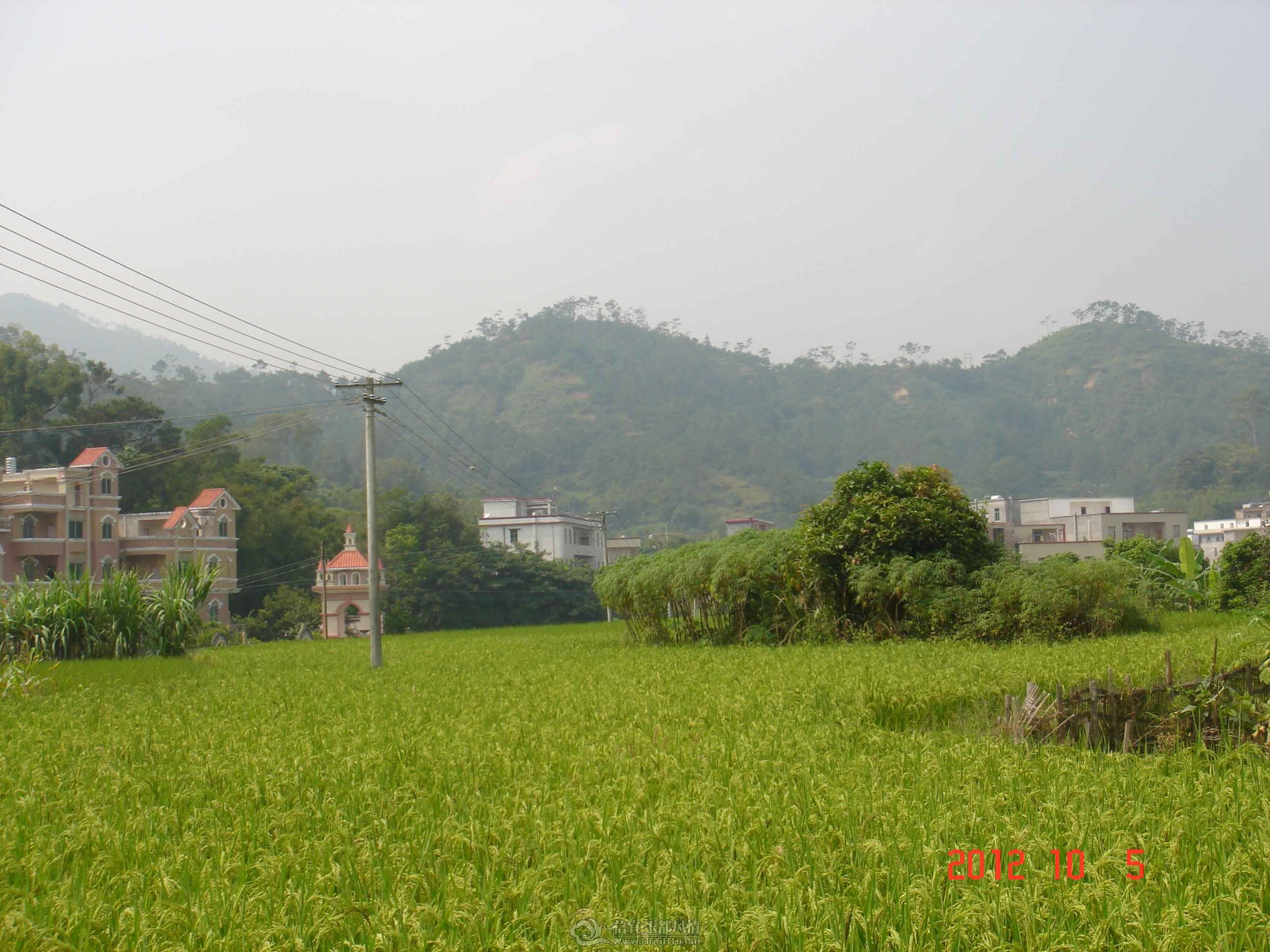 DSC03918.JPG