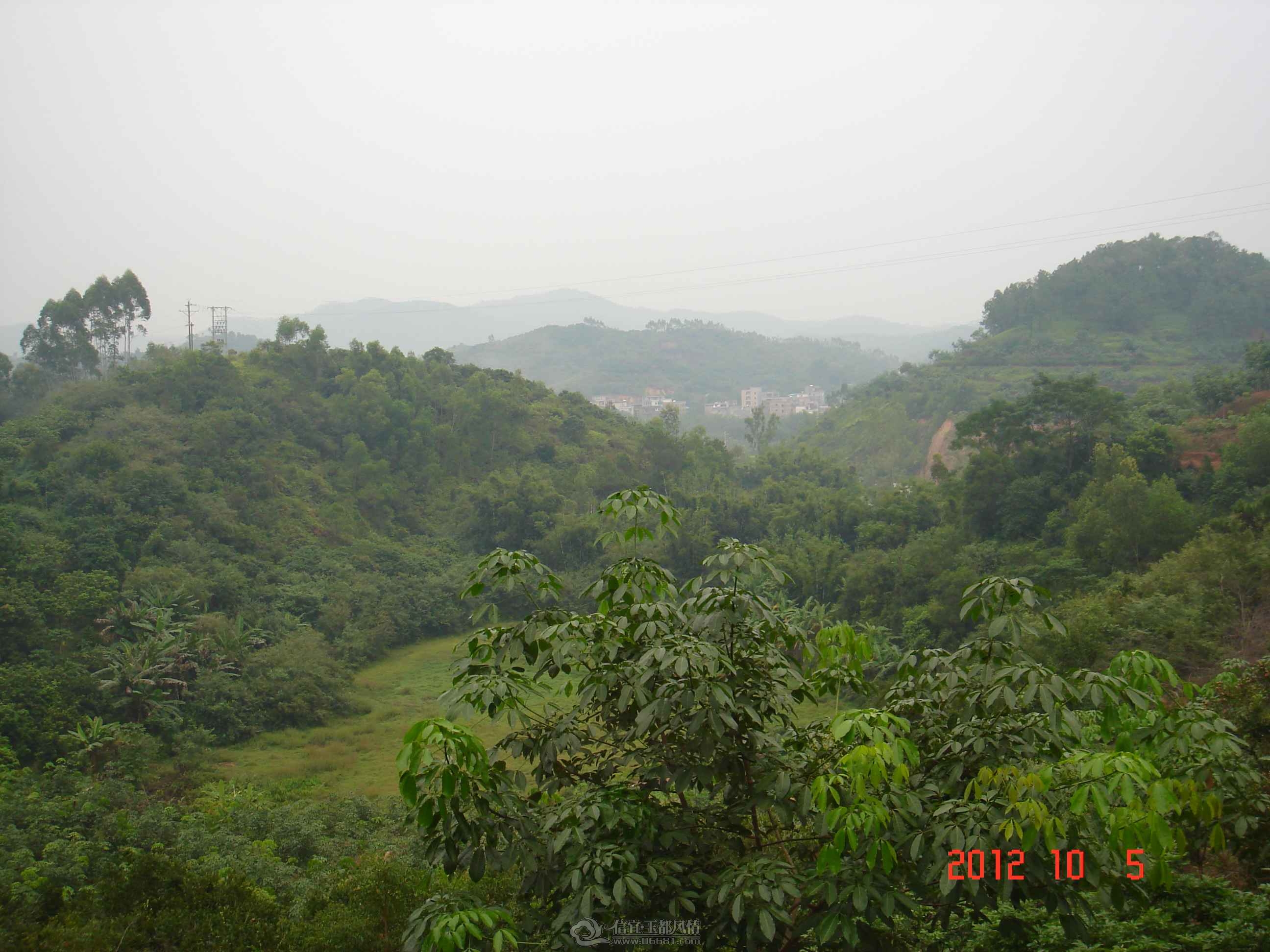 DSC03937.JPG