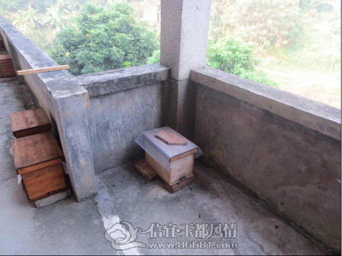 QQ��ͼ20121005195907.png