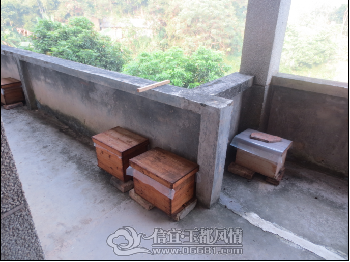 QQ��ͼ20121005195924.png