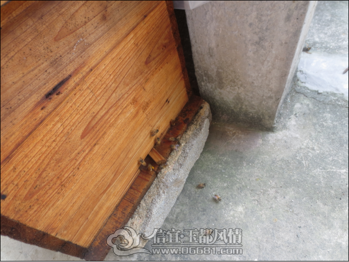 QQ��ͼ20121005200525.png