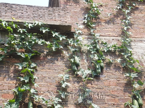 DSCF1846.JPG