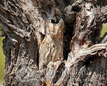 20121005015201609_small.jpg