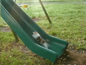 6cb472063a4453380c5439403d34976c.gif