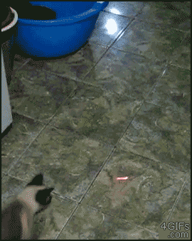 �ڻ���.gif