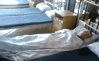�ر�.gif