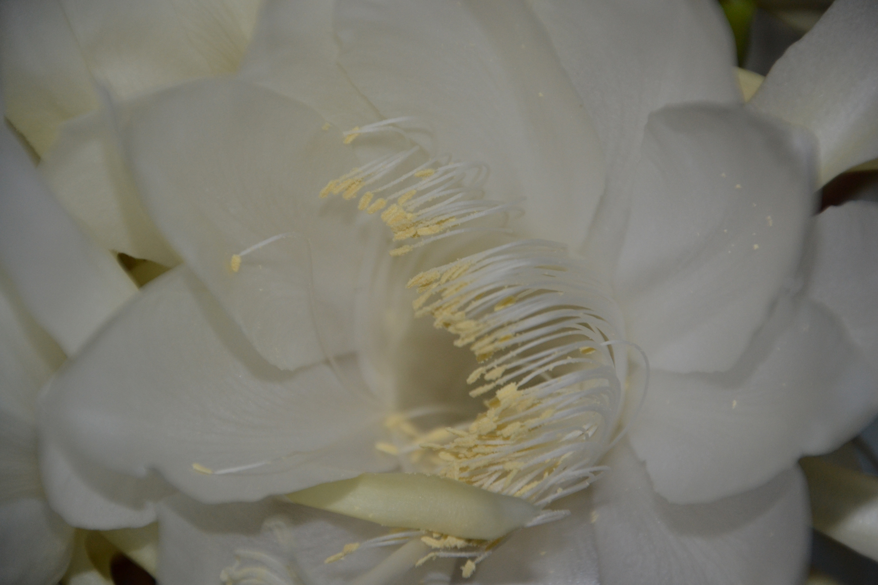 DSC_1789A.jpg