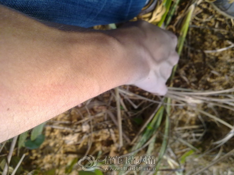 201210031731_��С��С.jpg