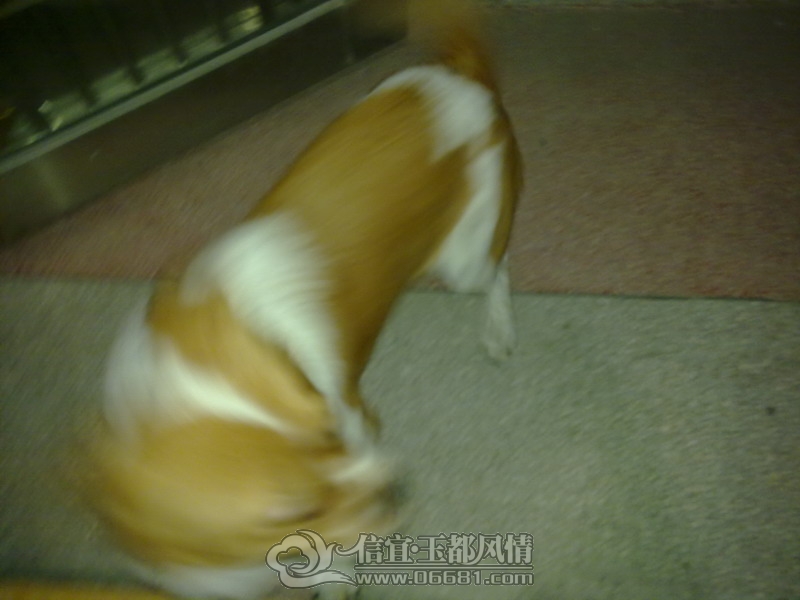 201210011722_��С��С.jpg
