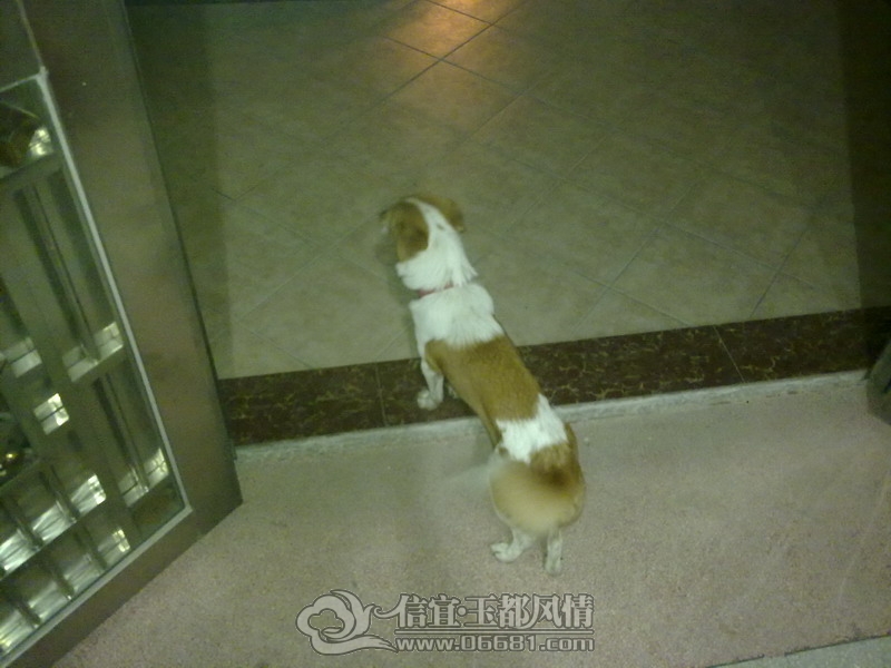 201210011723_��С��С.jpg