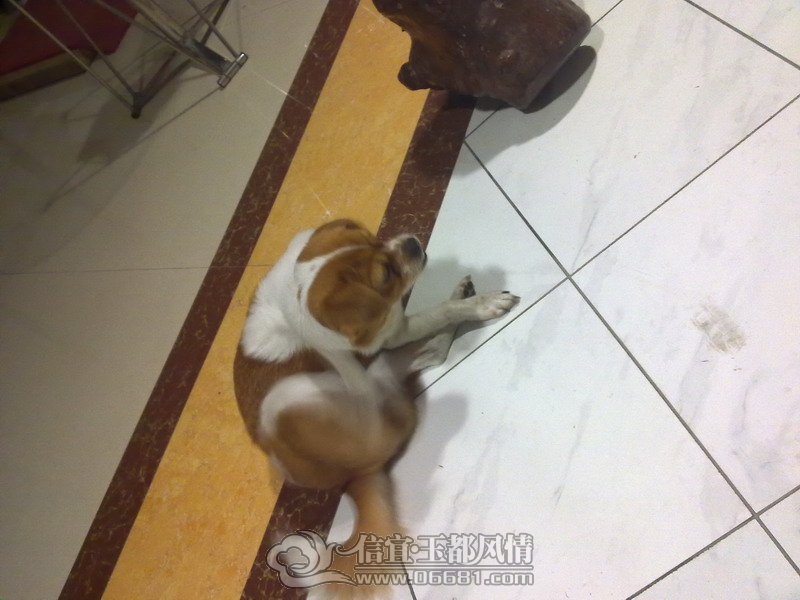 201210011725_��С��С.jpg