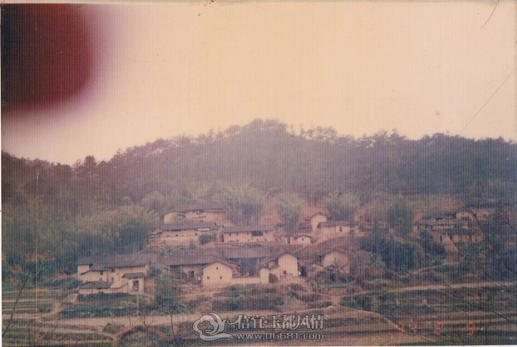 1994��Ĺ���.jpg