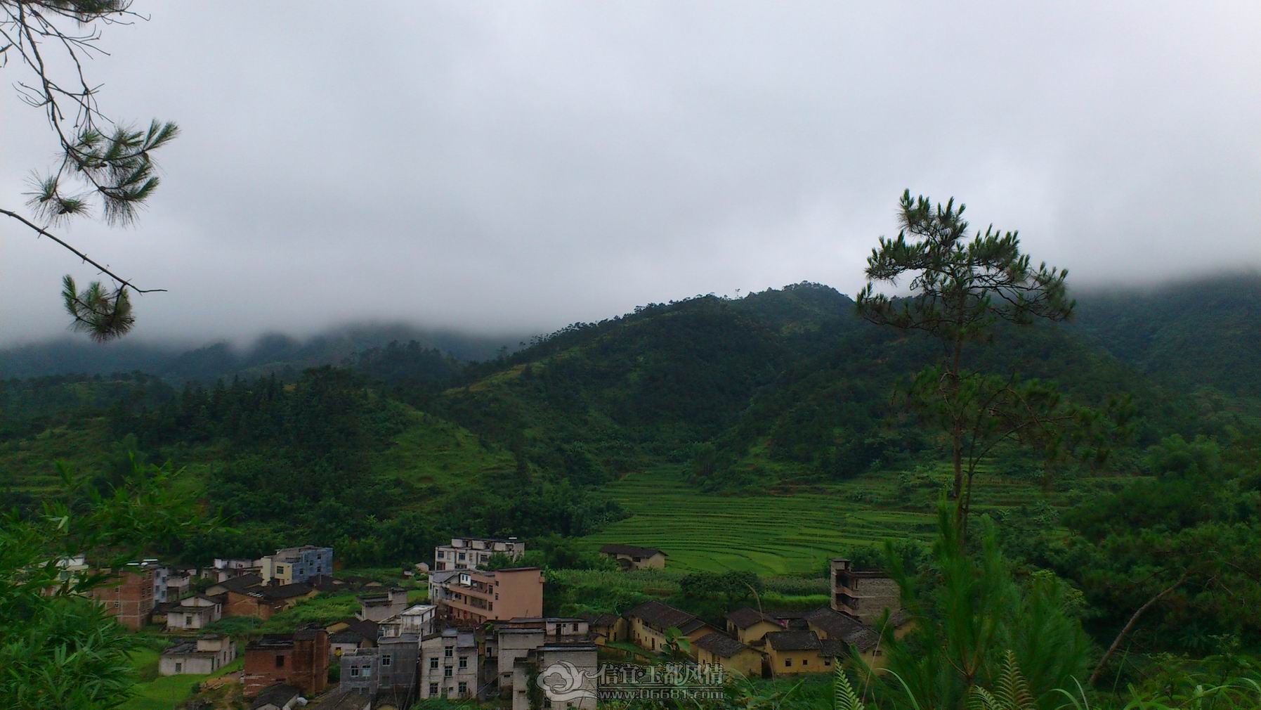 DSC_1407.JPG