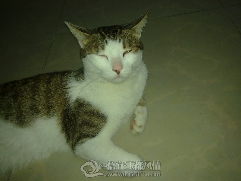 201210071745_��С��С.jpg