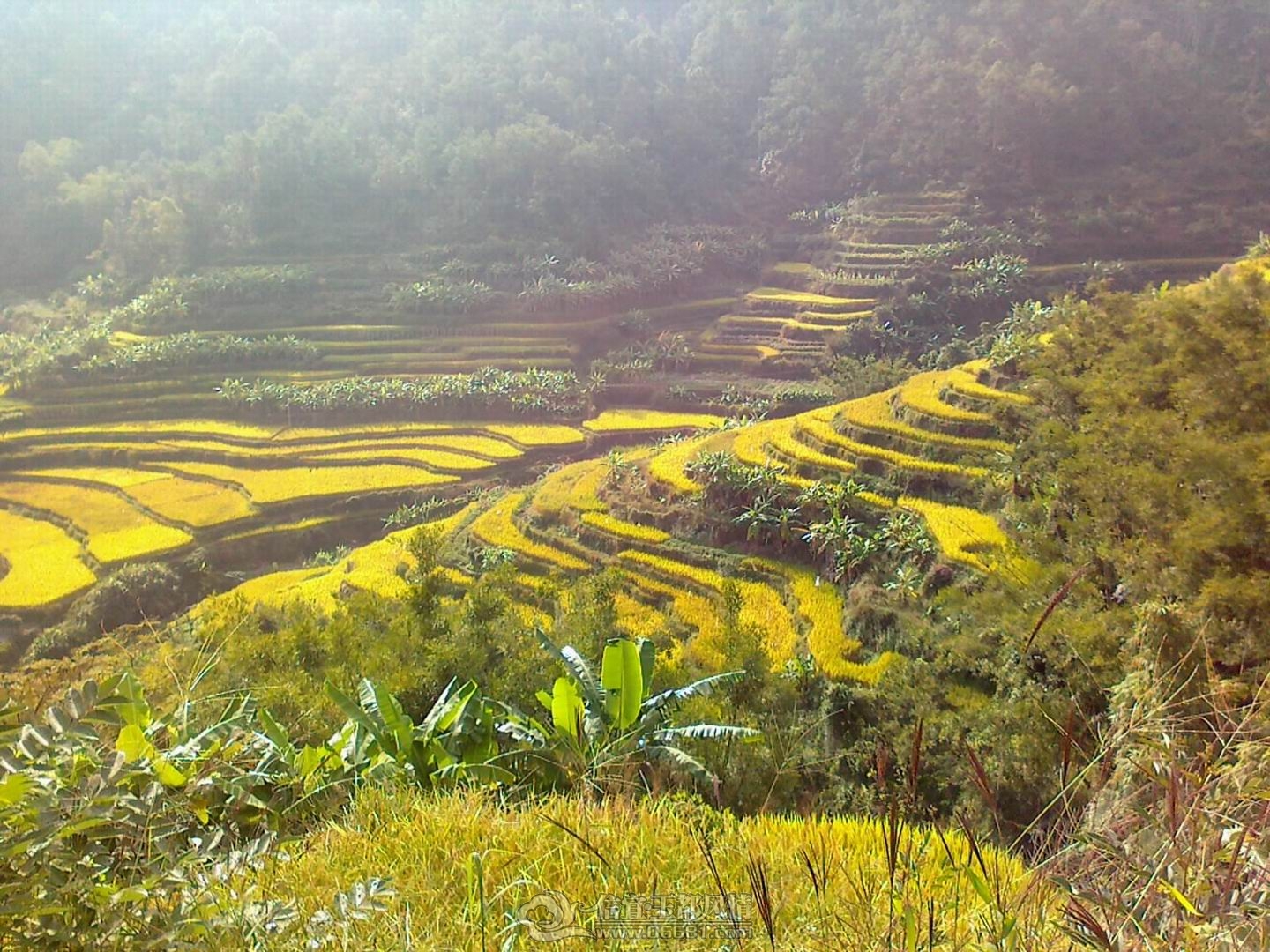 20111106095.jpg