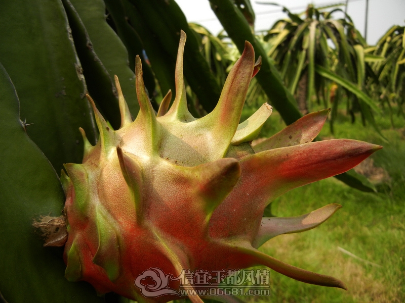 DSCN3580.jpg