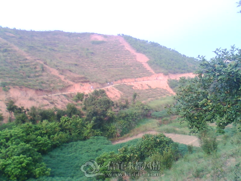 IMG0282A.jpg