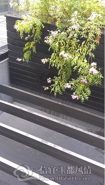 QQ��ͼ20121014152128.jpg