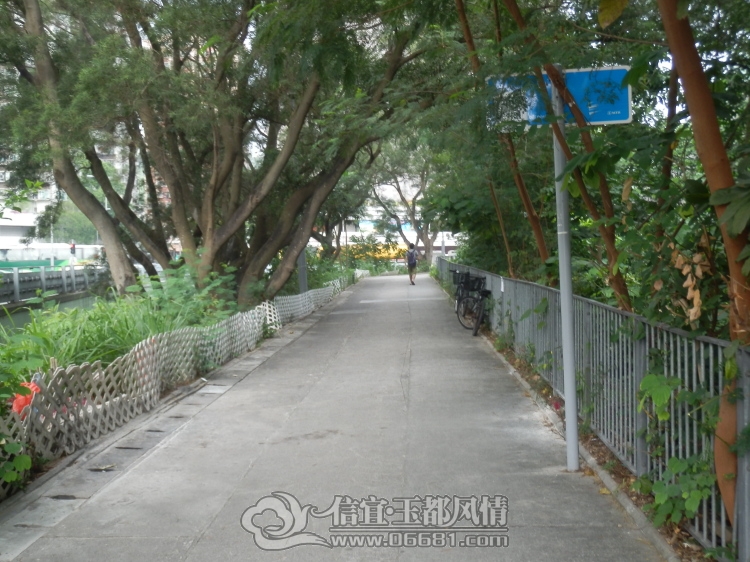 2012101407.jpg