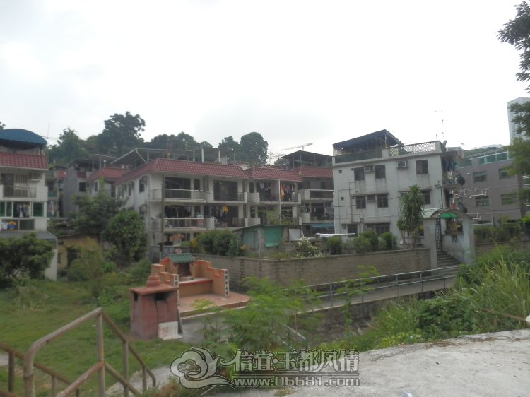 2012101412.jpg