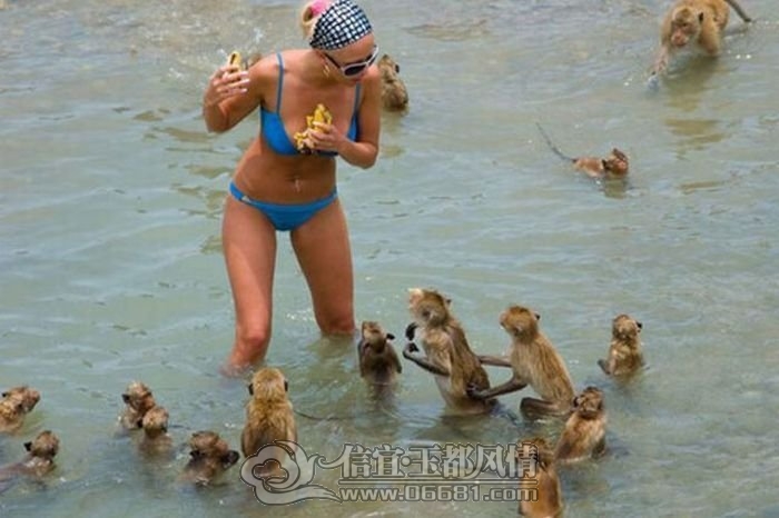 1349298463_summer_fails_27_1[1].jpg