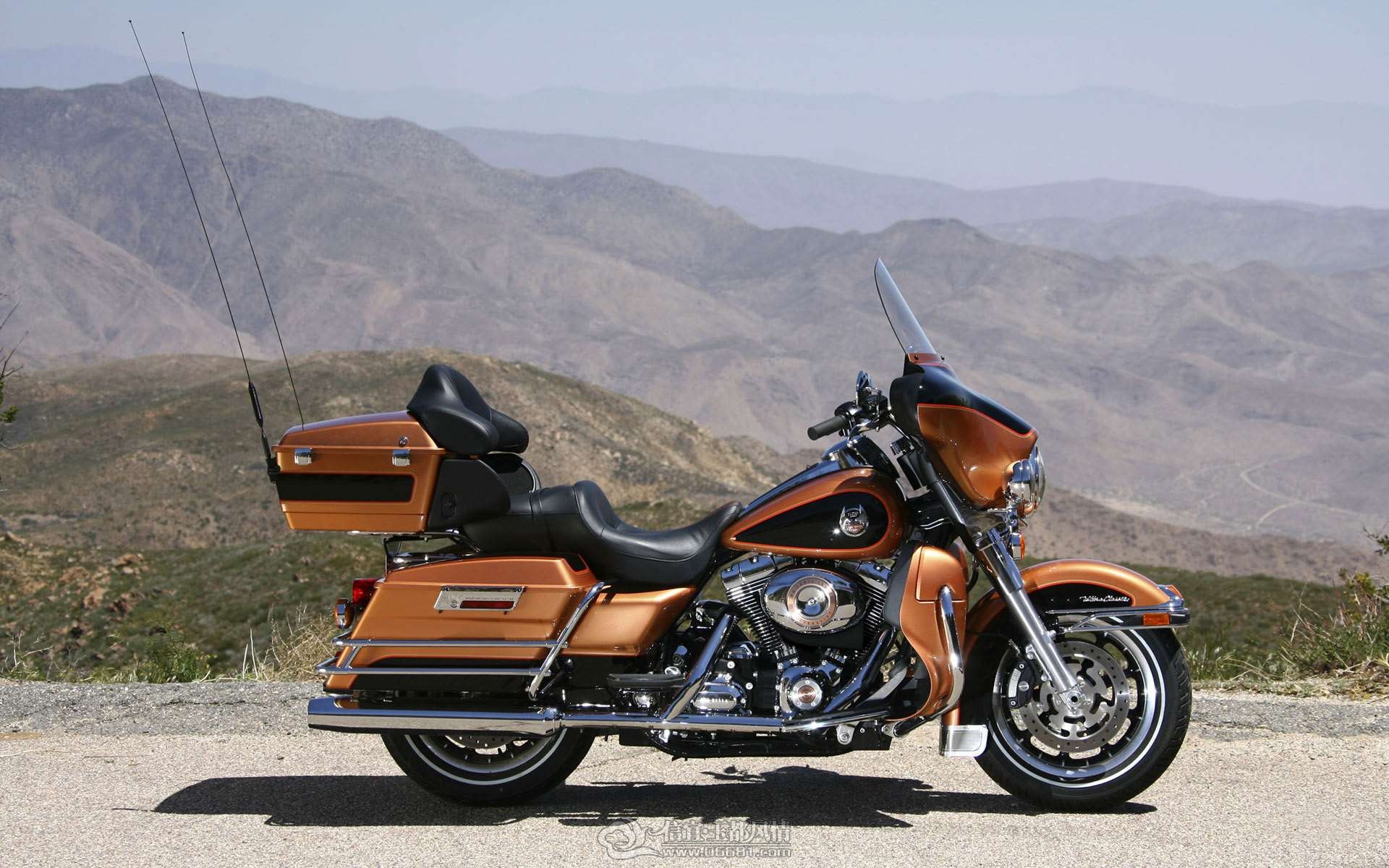 Harley_1006.jpg
