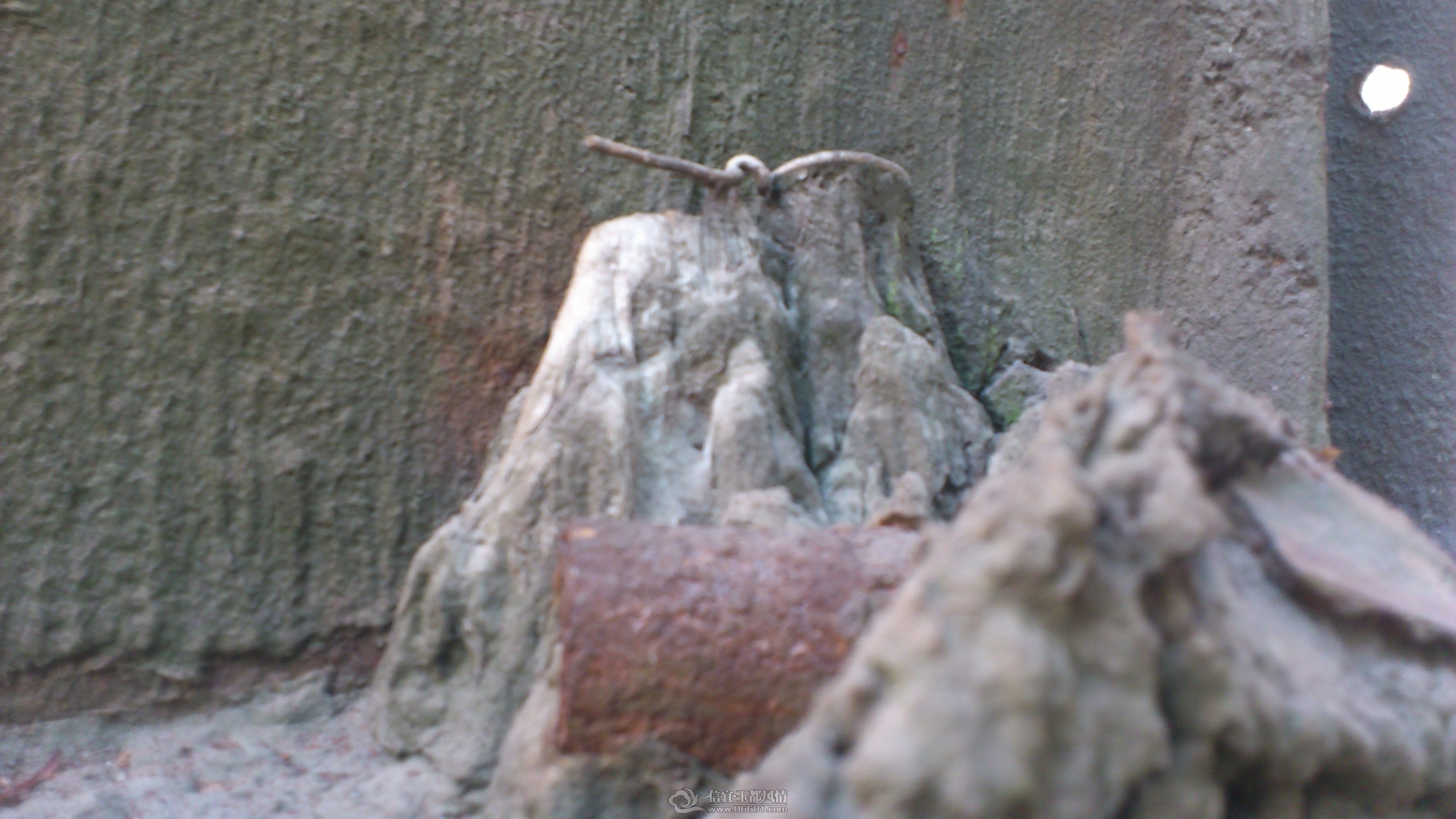 DSC_0097.JPG