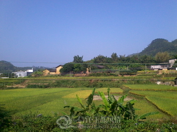 QQ��ͼ20121020190521.png