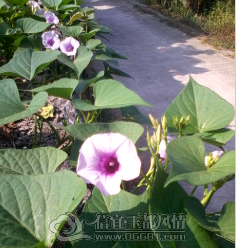 QQ��ͼ20121020190708.png