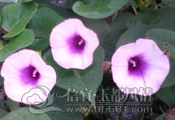 QQ��ͼ20121020190728.png