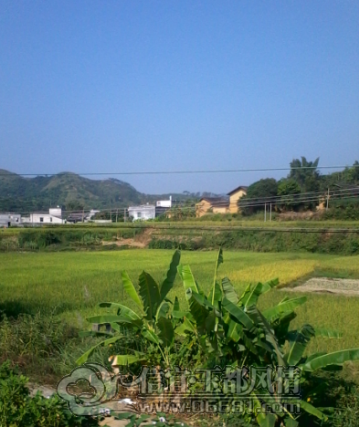 QQ��ͼ20121020190742.png