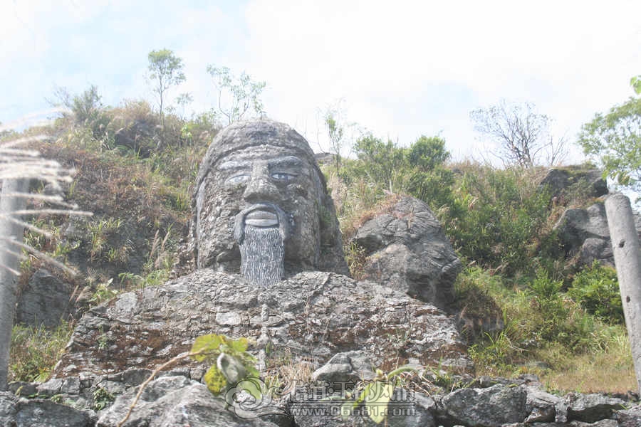 IMG_3936.jpg