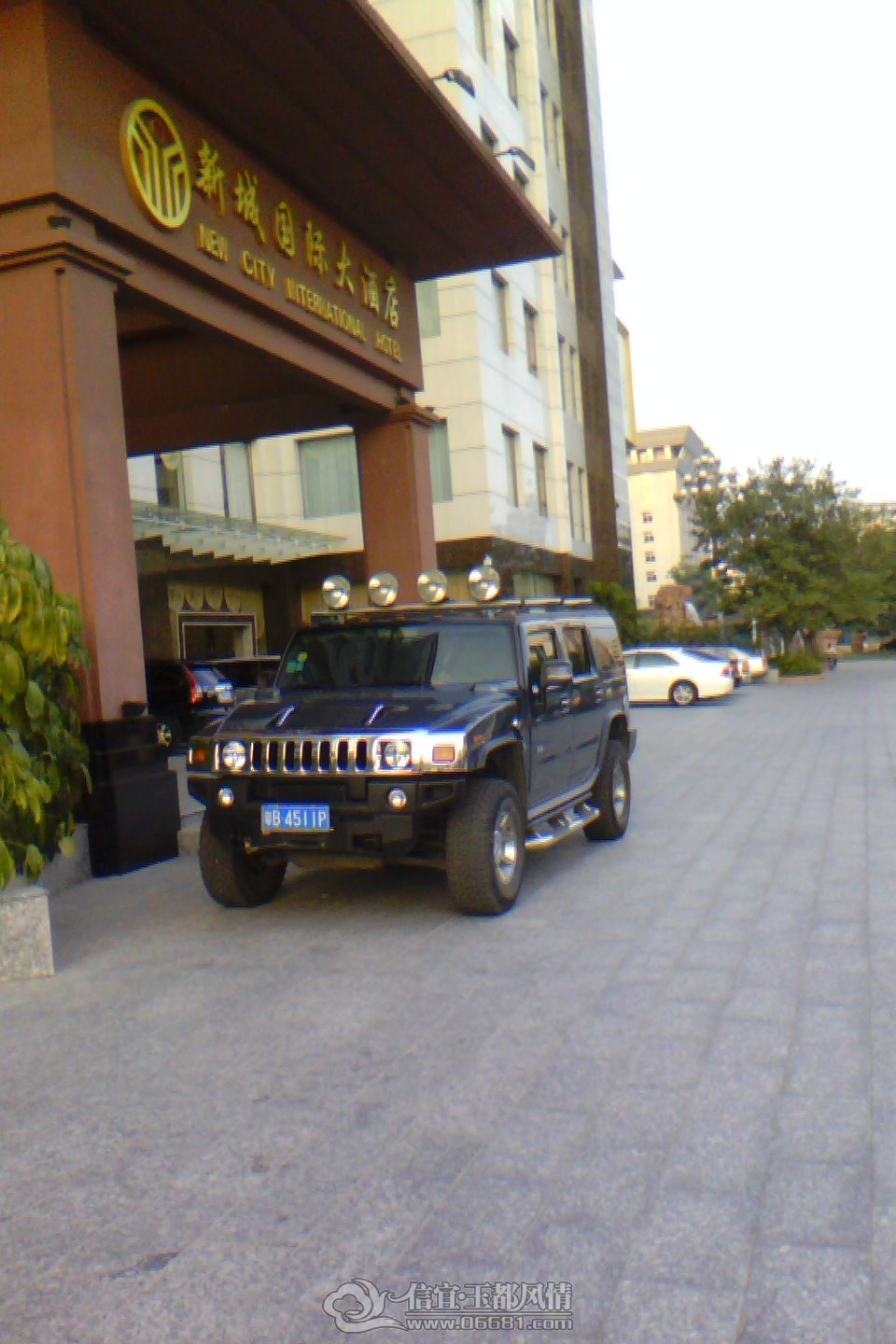 IMG_Ali_00038.jpg
