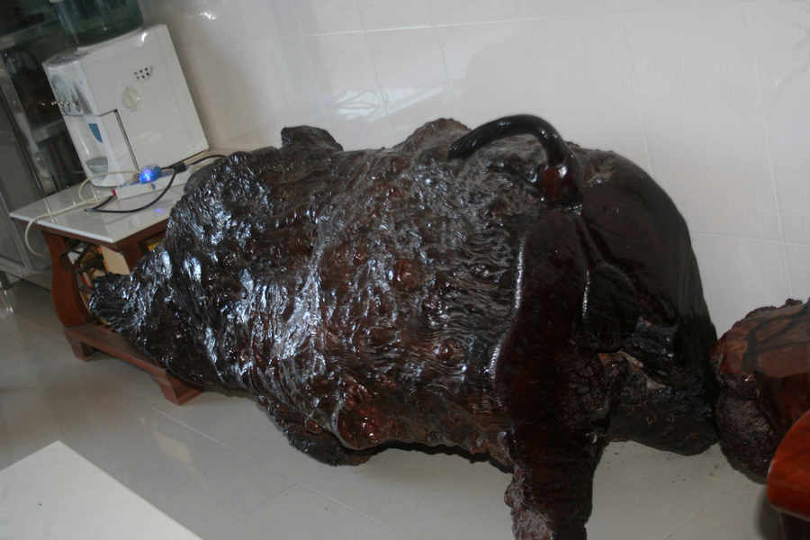 IMG_4101.jpg