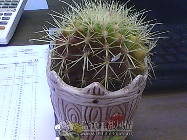 IMG1023092000.jpg