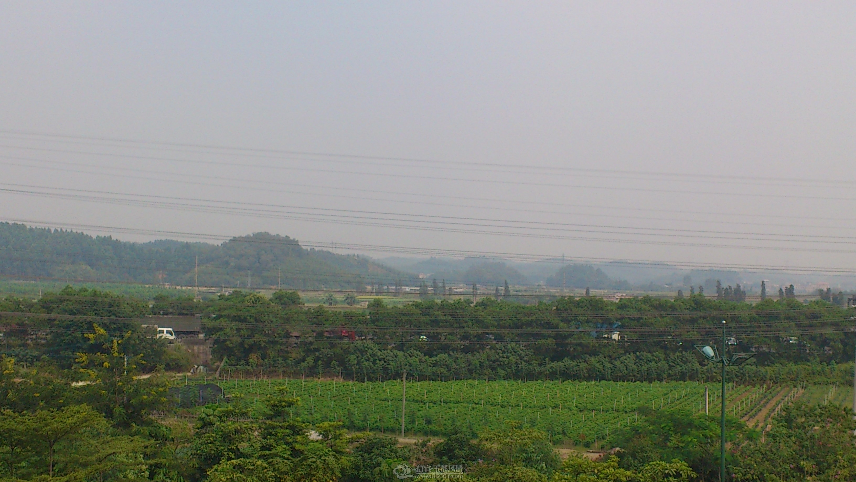 DSC_0096.JPG
