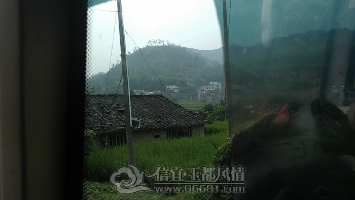 IMAG0882.jpg