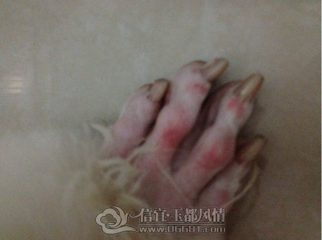 a.jpg