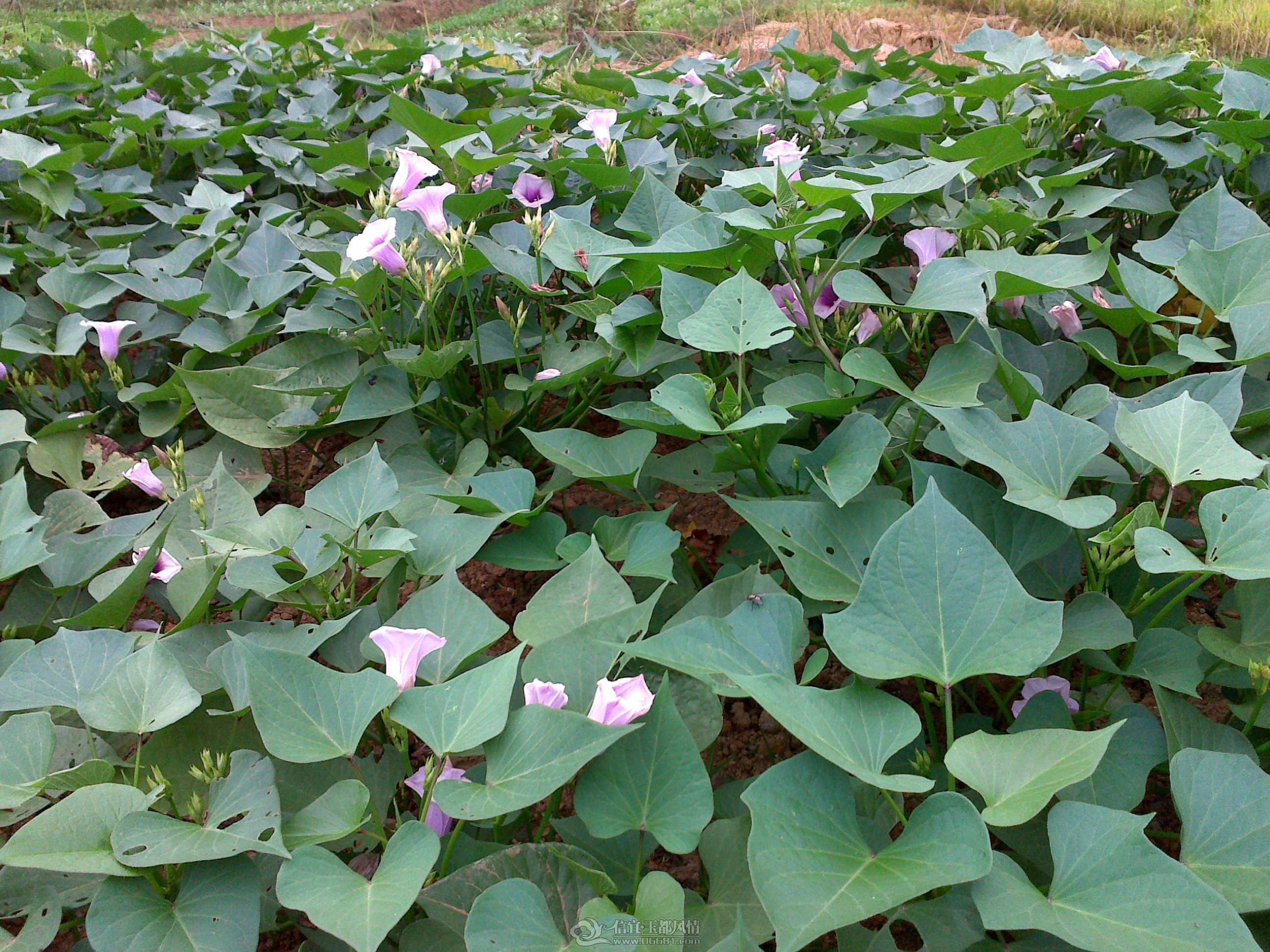20121027114.jpg