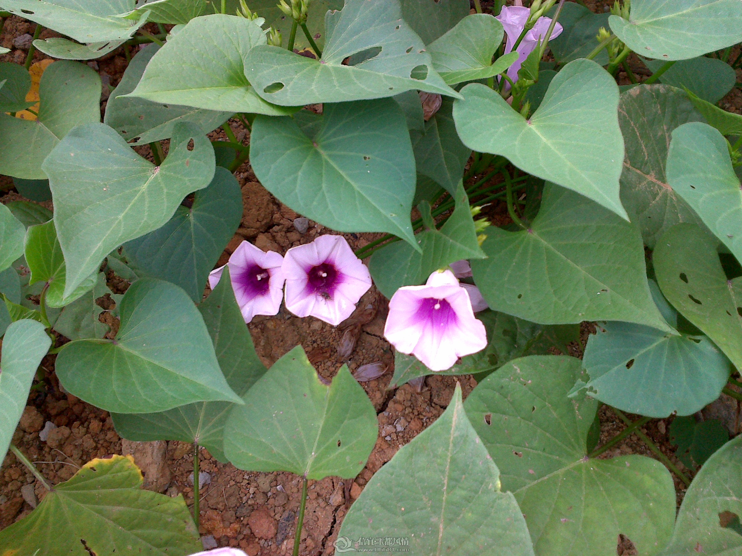 20121027115.jpg