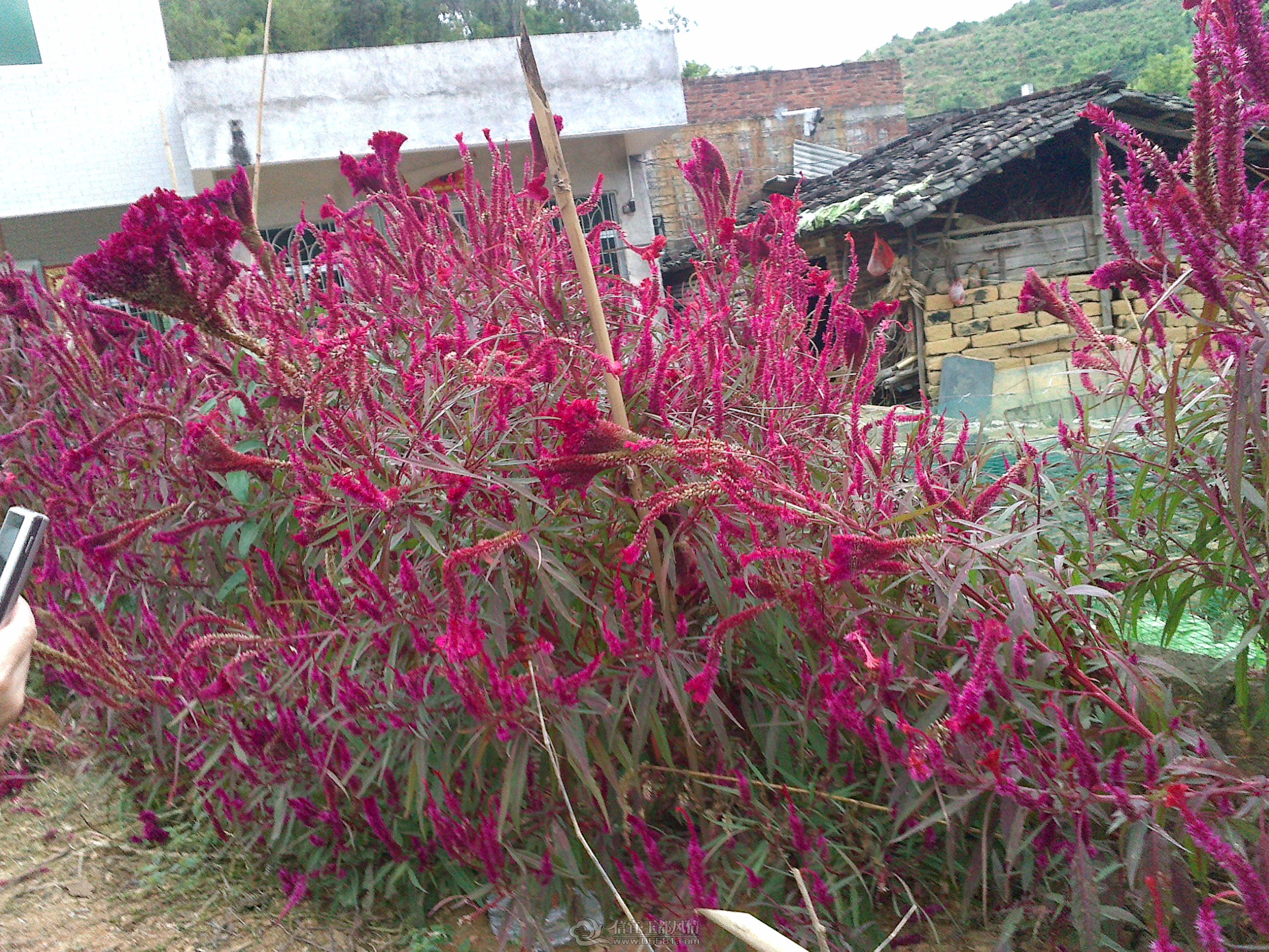20121027121.jpg