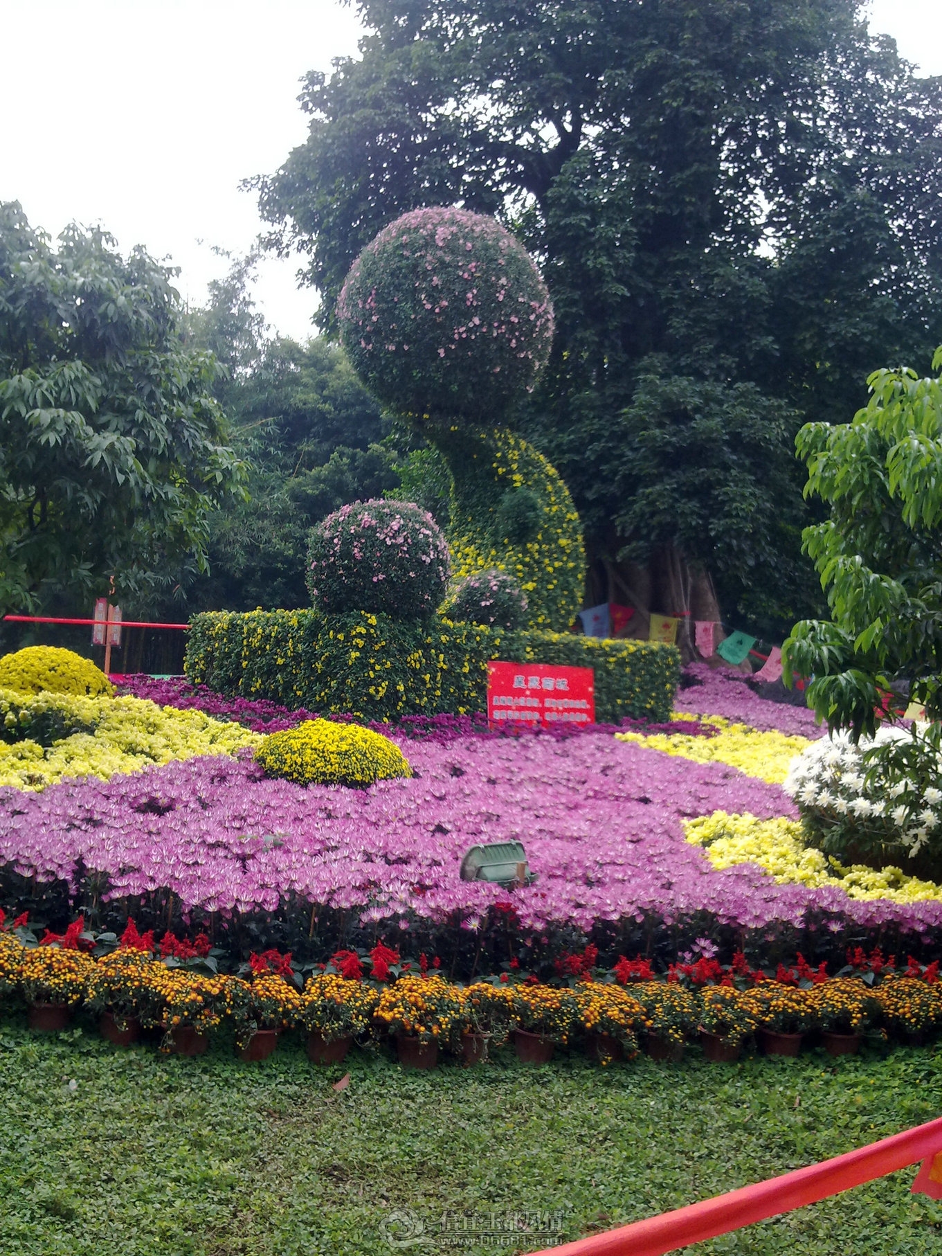 20111122147.jpg