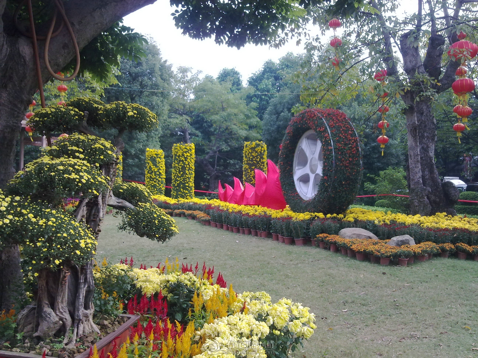20111122156.jpg