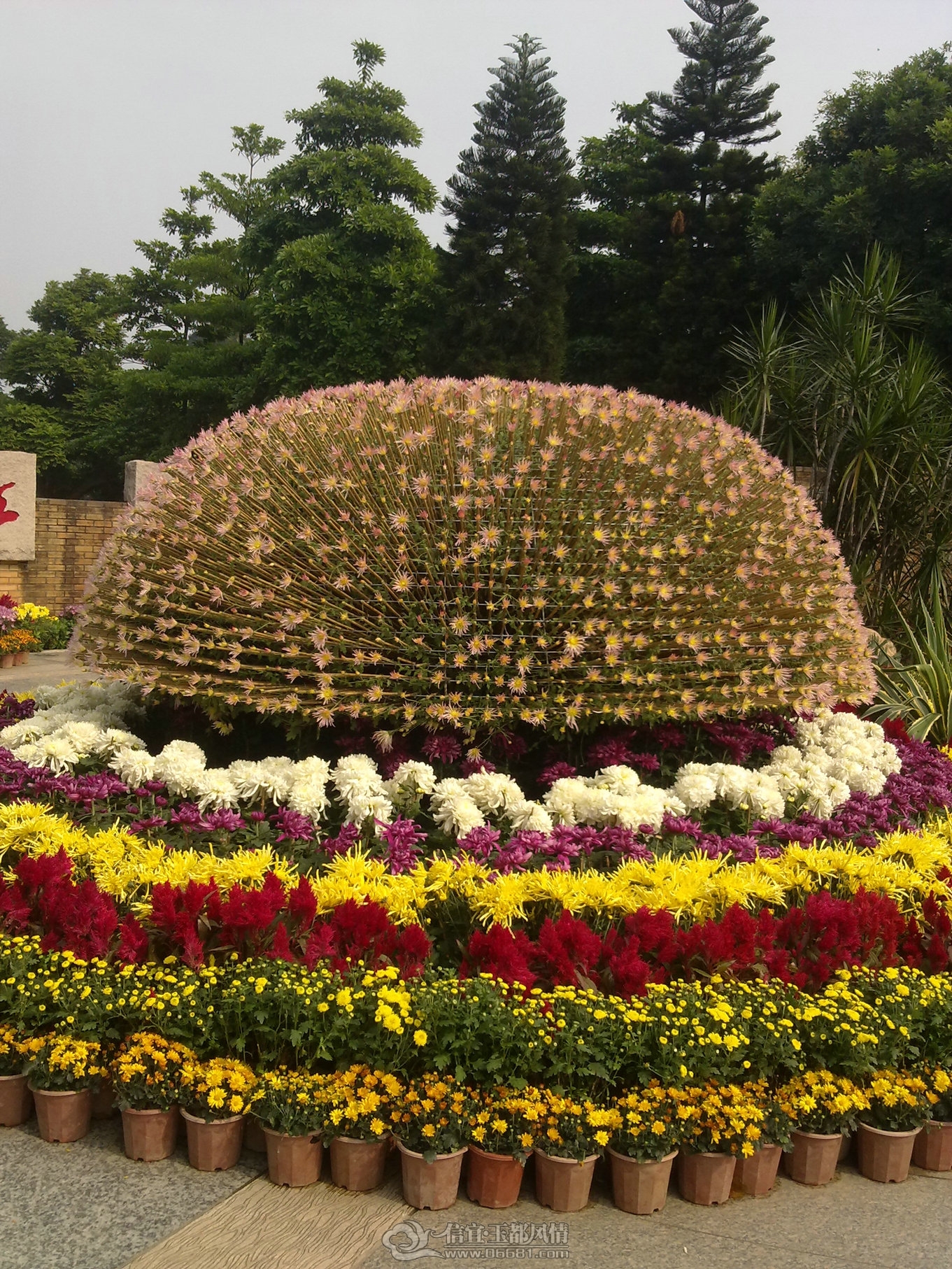 20111122160.jpg