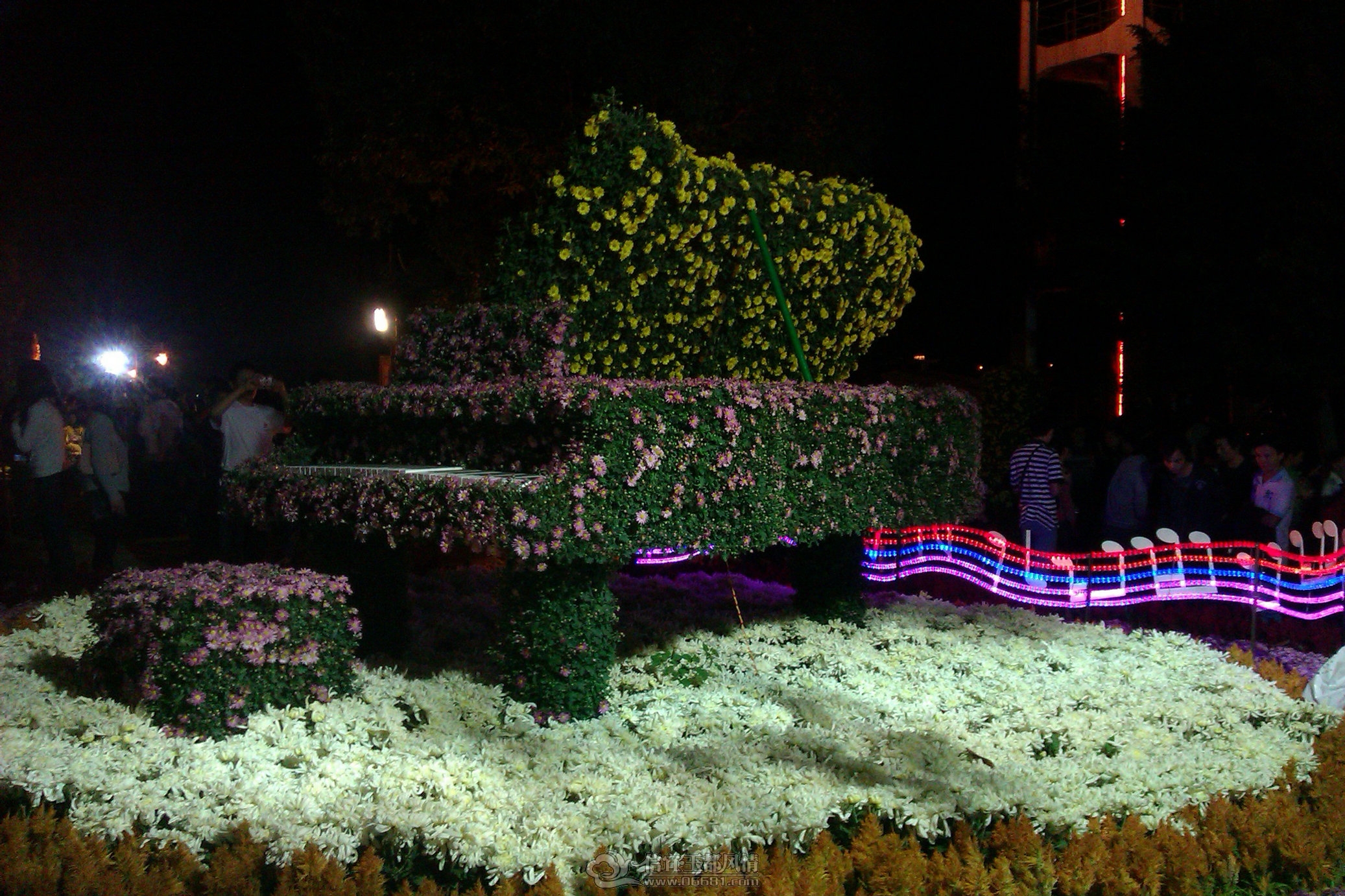 IMAG0110.jpg
