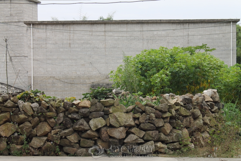 DPP_0045.JPG