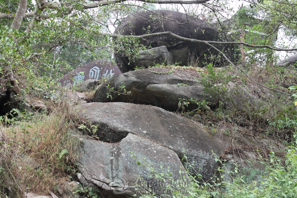 DPP_0059.JPG
