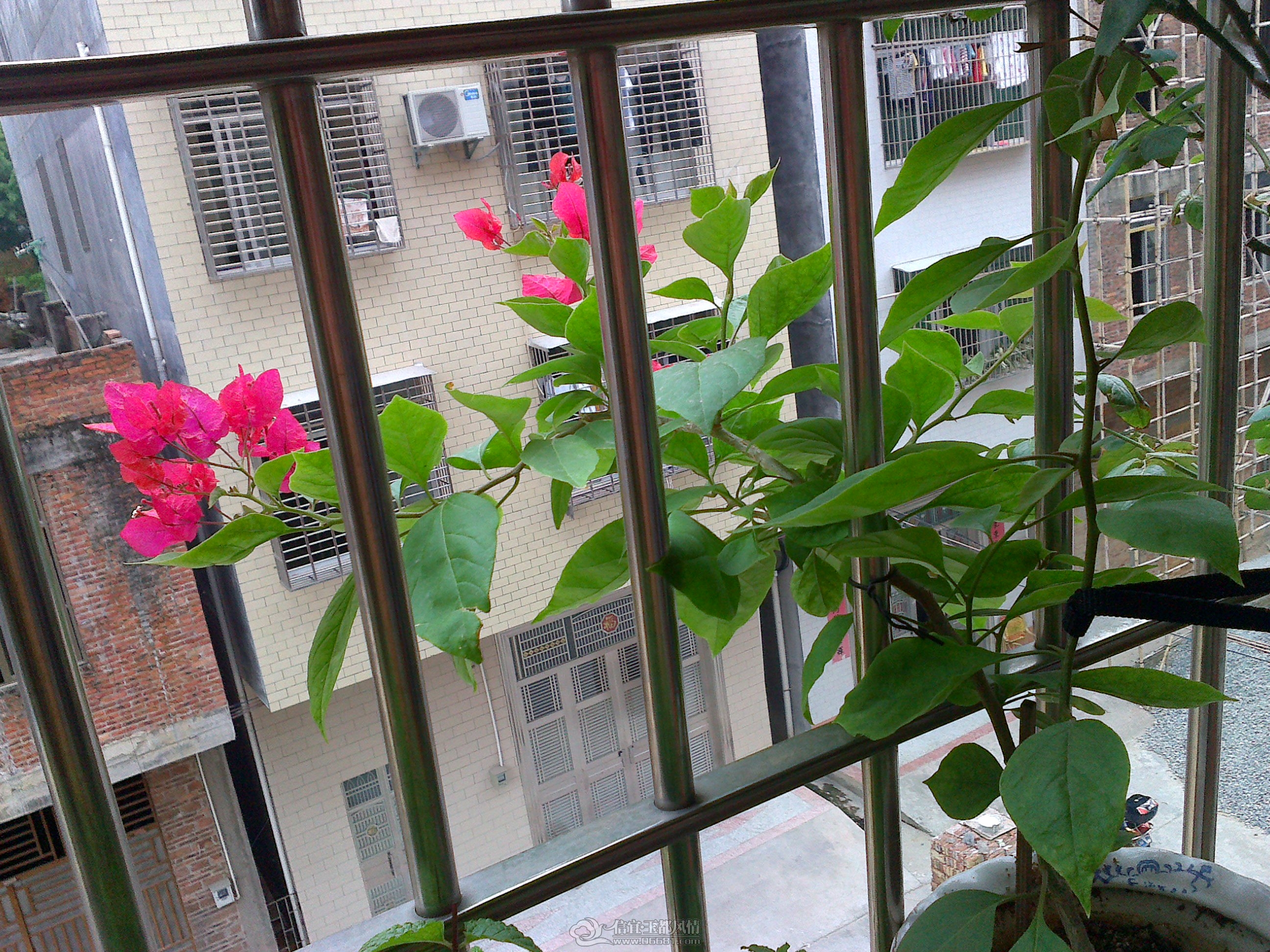20121028130.jpg